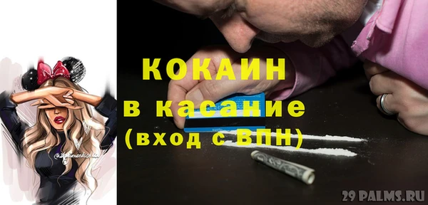 гашик Арсеньев
