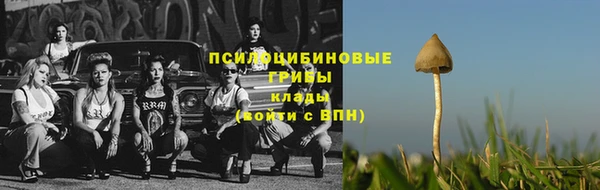 мет Армянск