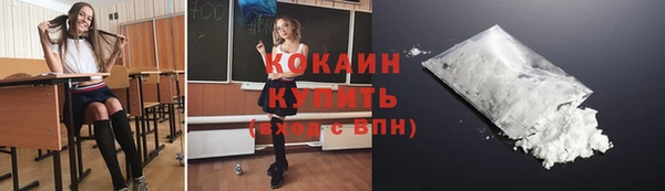 гашик Арсеньев