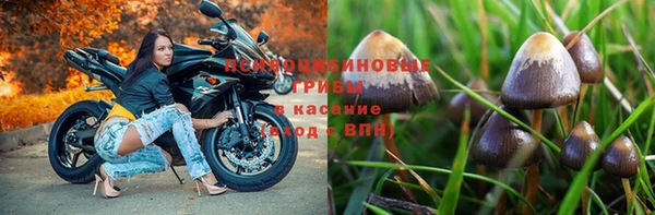 мет Армянск