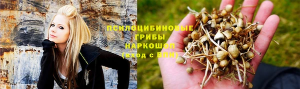 гашик Арсеньев