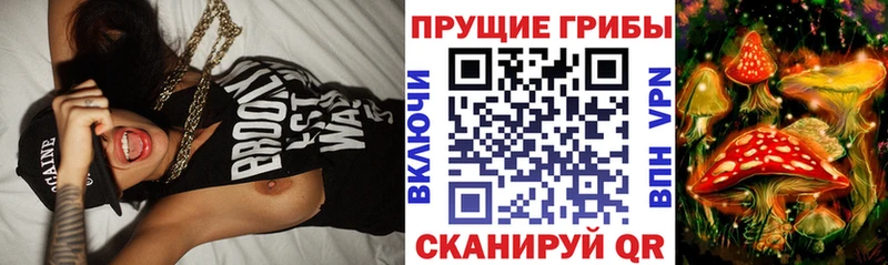ссылка на мегу tor  Подпорожье  Псилоцибиновые грибы Psilocybe 